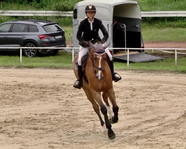 Reitturnier Heiligenwald 2021