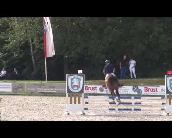 Reitturnier Grafenrheinfeld/Ufr. 2021