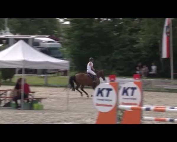 Reitturnier Grafenrheinfeld/Ufr. 2021