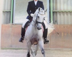 dressage horse Duke (Westphalian, 2003, from Donnerlord)