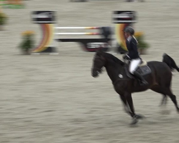 Reitturnier Westergellersen 2021