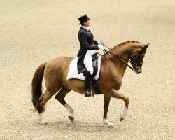 dressage horse Herzruf's Erbe (Rhinelander, 1999, from Herzruf)