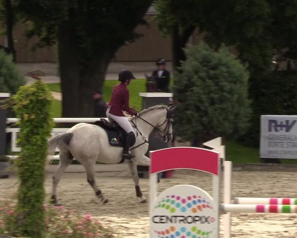 Reitturnier Schnarup-Thumby 2021