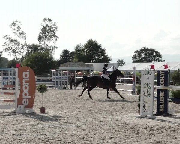 Concours Hippique de Dompierre 2021