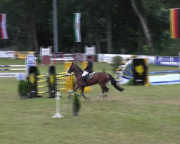 Reitturnier Lengenfeld/Vogtl. 2021