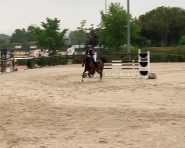 Video of Quintana VII