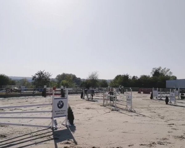 Video von E-Carissima