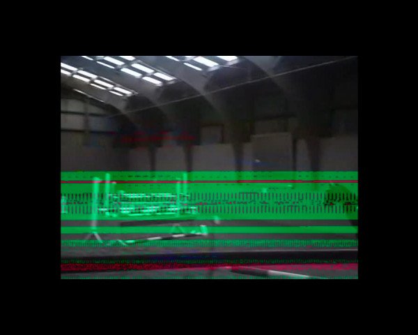 Video of Campino H