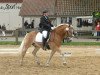 dressage horse Amadeus (Haflinger, 2003, from Argument (10,94% ox))