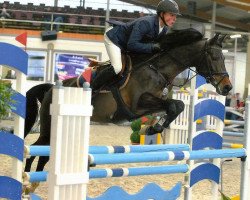 broodmare Alposa's My Lara (German Riding Pony, 2008, from Mephisto 331)