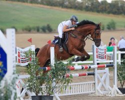 jumper Landjunge (German Sport Horse, 2007, from Landfriese II)