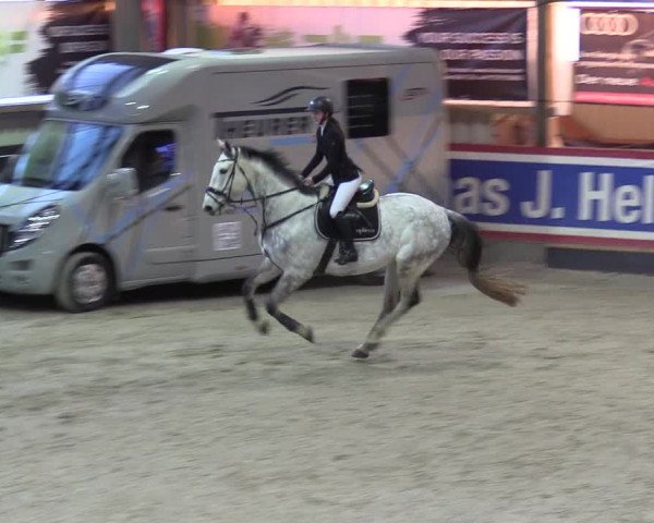 9. Nordic Jumping Event in Negernbötel 2022