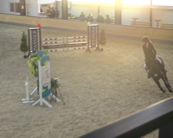 Reitturnier Borken 2022