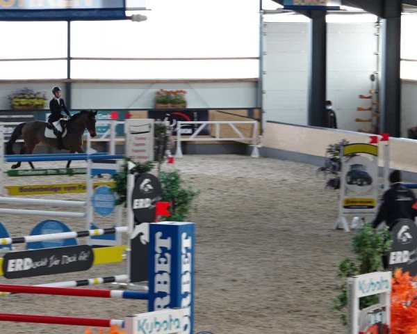 Reitturnier Borken 2022