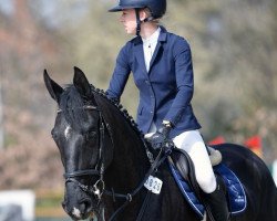 jumper Seven Up Zero (Hannoveraner, 2016, from Stolzenberg)