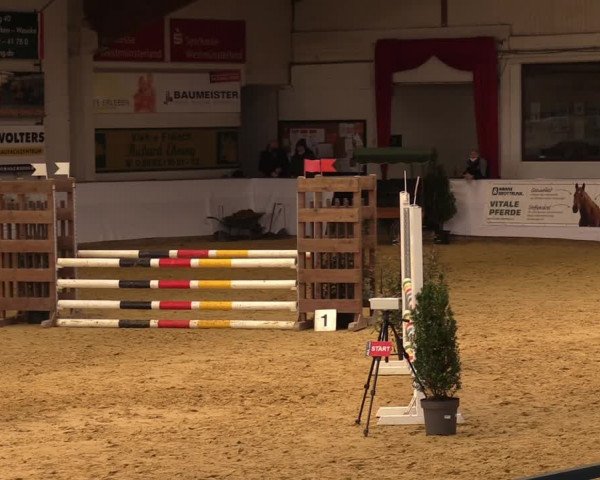 Springturnier Borken 2022