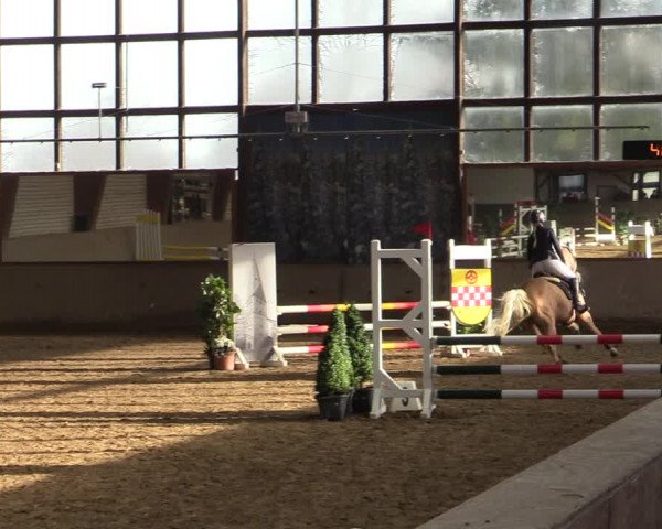 Spring- und Dressur Late Entry Kamen 2022