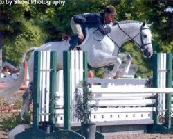 stallion Asher (Trakehner, 1998, from Heinzelmann)