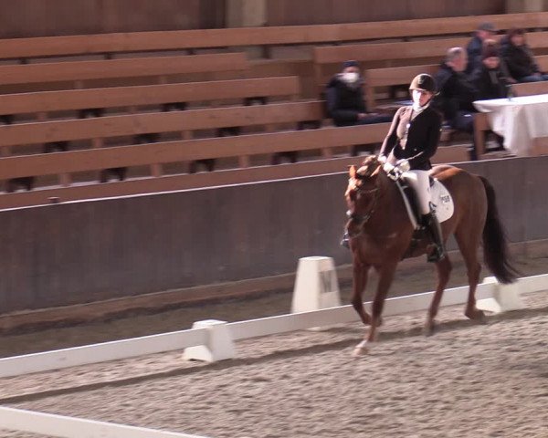 Hallennachwuchsturnier Herford 2022