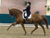 dressage horse Affinity (Rhinelander, 2004, from Abanos)