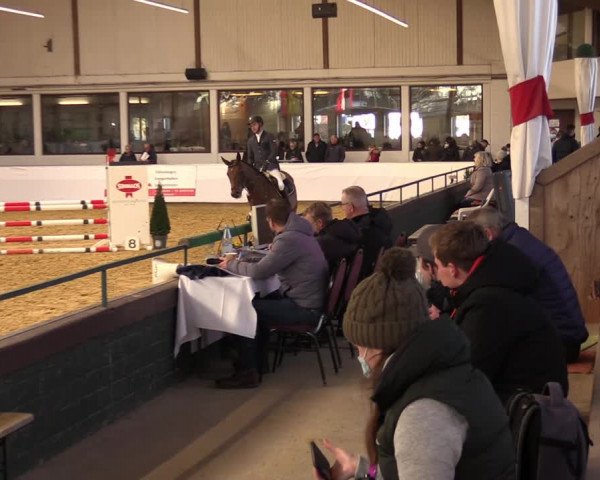 Springturnier Borken 2022