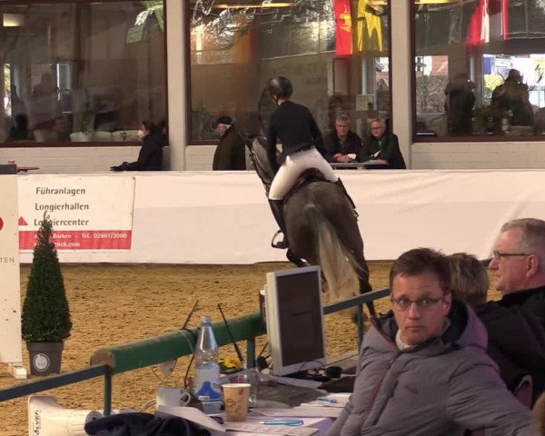 Springturnier Borken 2022