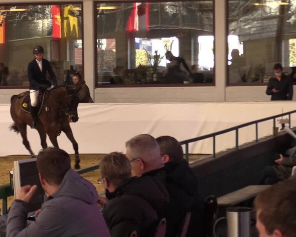 Springturnier Borken 2022