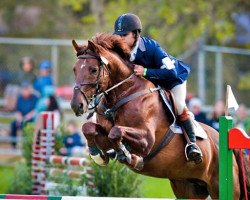 horse Tagaelen (Trakehner, 2000, from Domritter)