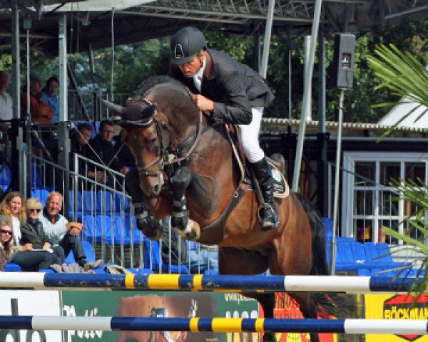 stallion Cascall (Oldenburg, 2005, from Catoki)