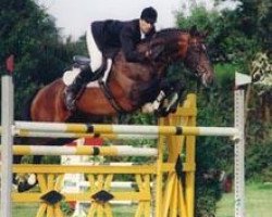 stallion Humanus (Trakehner, 1990, from Maizauber)