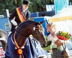 dressage horse Donovan 121 (Oldenburg, 2008, from Diamond Hit)