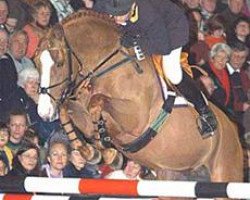 stallion Sky Dancer (Trakehner, 1995, from Beg xx)