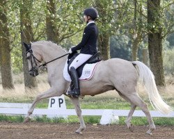 Dressurpferd Birkenhain Capricorn (Deutsches Reitpony, 2013, von FS Cracker Jack)