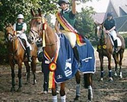 Springpferd Nagano 29 (Trakehner, 1998, von Grossist 1393)