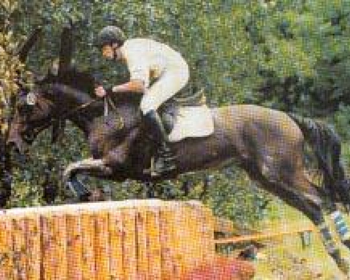 broodmare Windspiel II (Trakehner, 1986, from Hyalit)