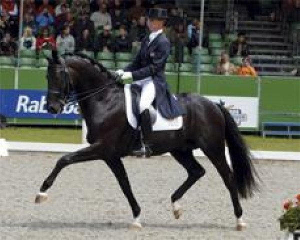 stallion Painted Black (Dutch Warmblood, 1997, from Gribaldi)