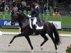 stallion Painted Black (KWPN (Royal Dutch Sporthorse), 1997, from Gribaldi)