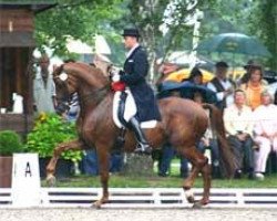 Pferd Mon Acteur (Trakehner, 1990, von Anduc)