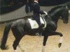 stallion Acartenango (Trakehner, 1986, from Pogremok xx)