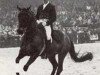 dressage horse Hirtentraum (Trakehner, 1967, from Traumgeist xx)