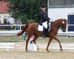 dressage horse Carolina (German Riding Pony, 1993, from Colorado)