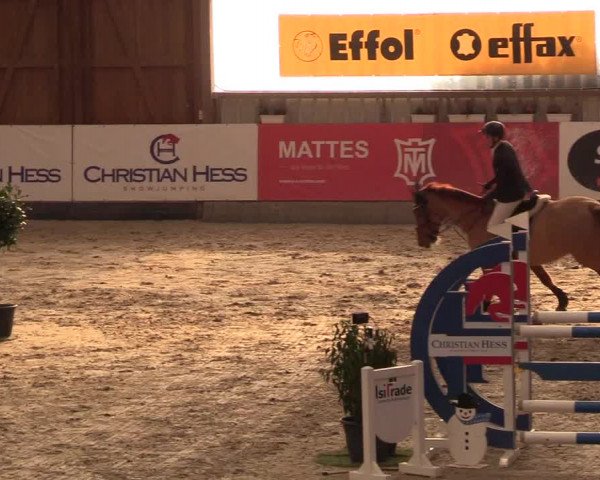 9. Nordic Jumping Event in Negernbötel 2022