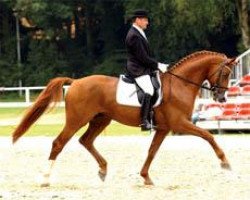 stallion Donautanz (Hanoverian, 1999, from De Niro)