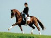 stallion Dacaprio (Hanoverian, 1996, from Davignon I)