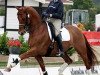 dressage horse Bonaparte 67 (Hanoverian, 1993, from Bon Bonaparte)