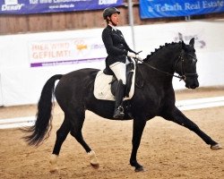 dressage horse Golden Glamour 2 (Württemberger, 2013, from Gargallo)