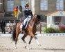 dressage horse FBW Daktari (Württemberger, 2005, from Donautanz)