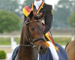 dressage horse Cinderella M WE (German Riding Pony, 2003, from Constantin)