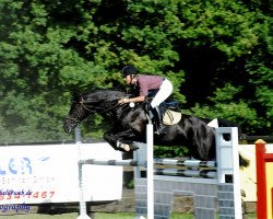 jumper Liberty K (Hanoverian, 2002, from Landor S)