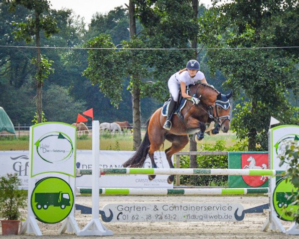 jumper Cendelien (KWPN (Royal Dutch Sporthorse), 2007, from Quality 9)